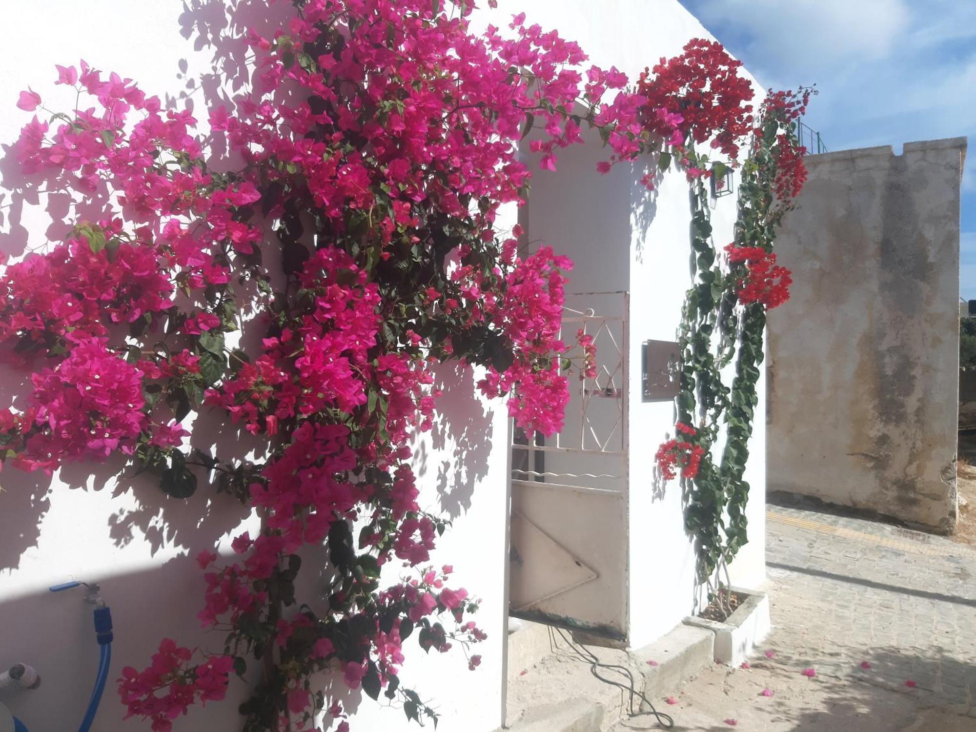 Lilium House Palekastro Διαμέρισμα Εξωτερικό φωτογραφία